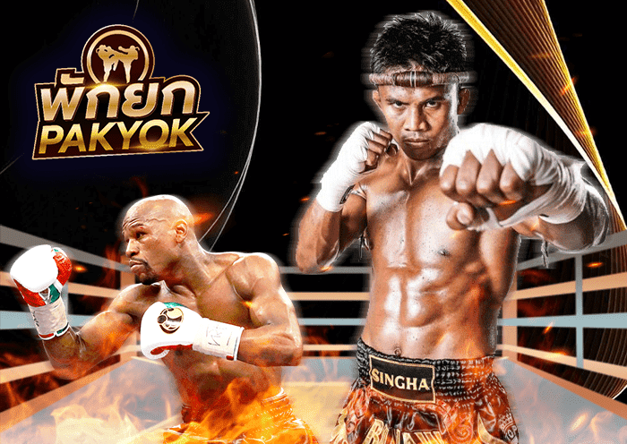 มวยพักยก By NGWE99